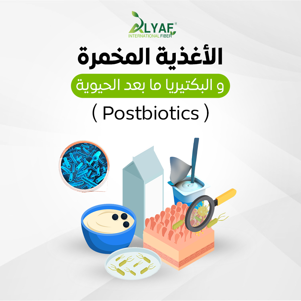 الأغذية المخمرة والبكتيريا ما بعد الحيوية