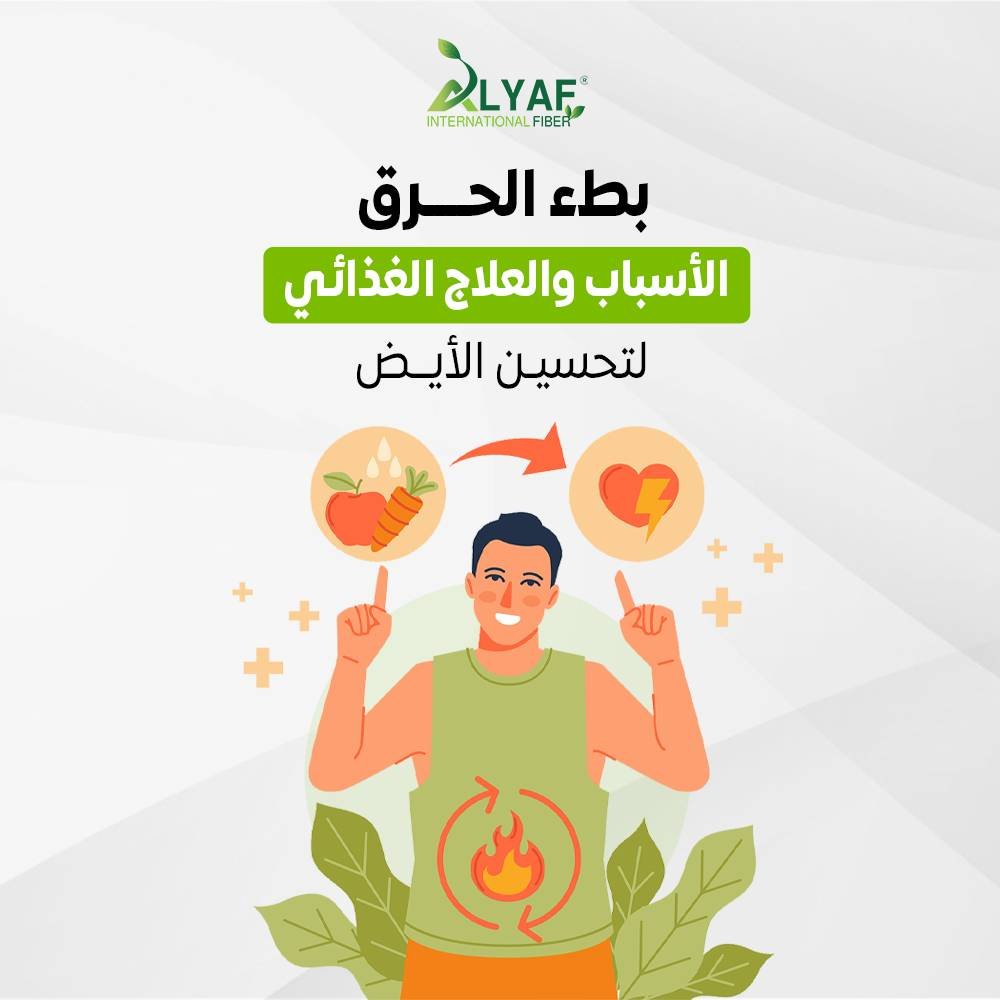 بطء الحرق الأسباب والعلاج الغذائي لتحسين الأيض