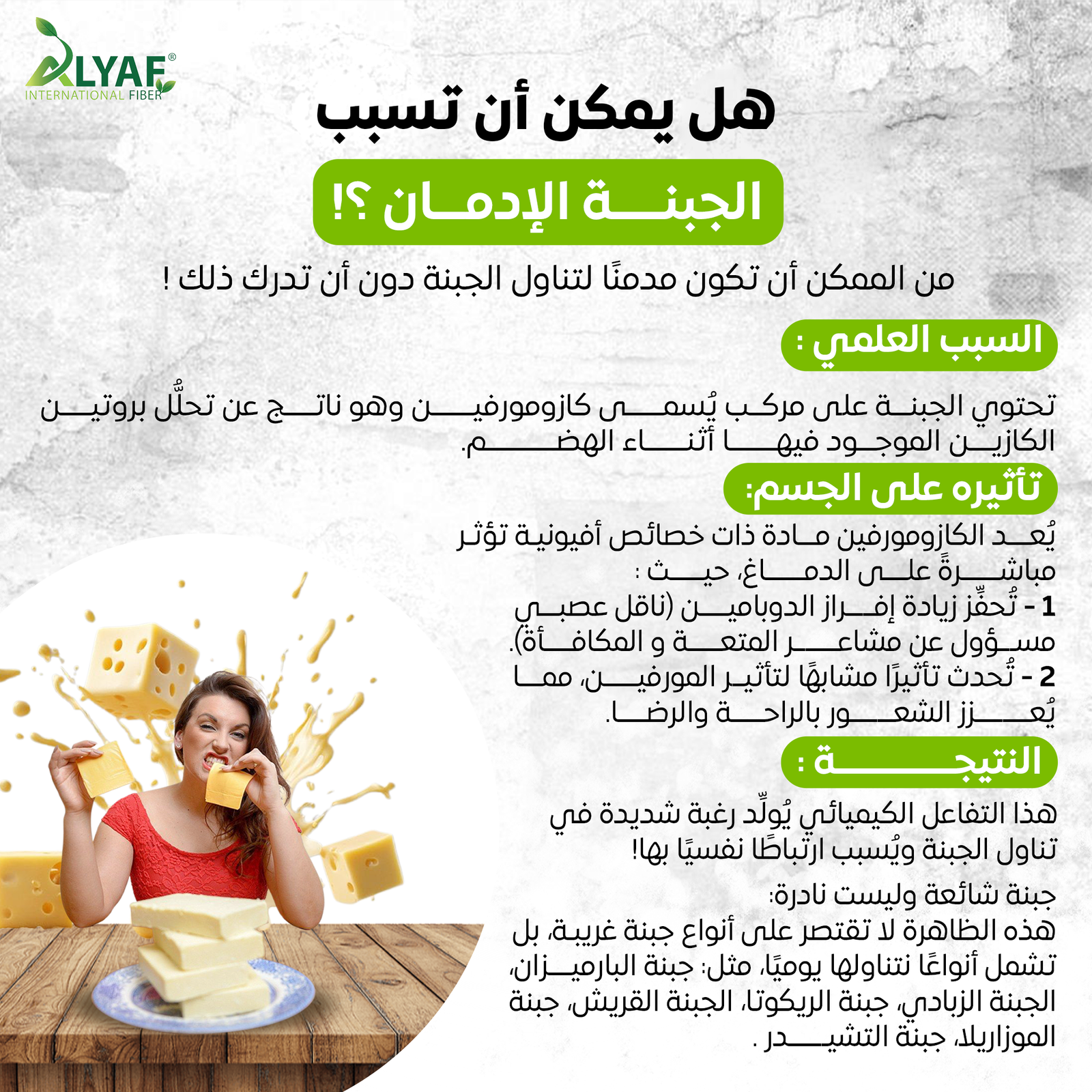 المركب السري داخل الجبنة