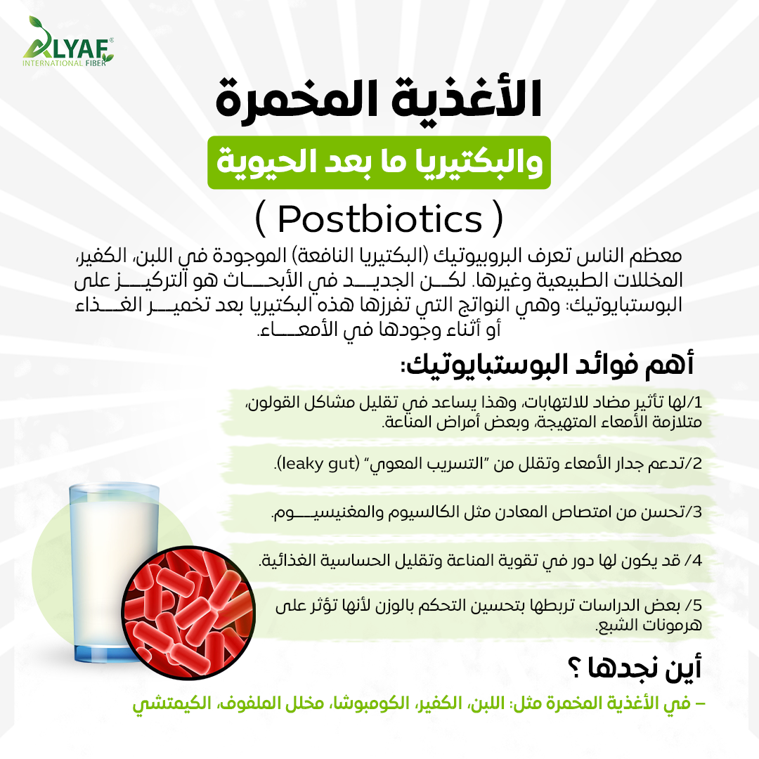 الأغذية المخمرة والبكتيريا ما بعد الحيوية (Postbiotics)