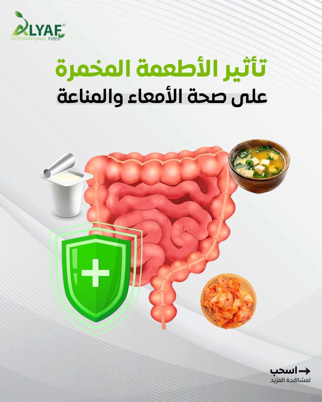 تأثير الأطعمة المخمرة على صحة الأمعاء والمناعة
